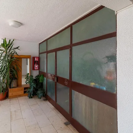 Helena Τρογκίρ